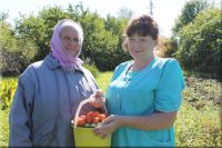  Гарденотерапия (терапия природой, работа с природным материалом)